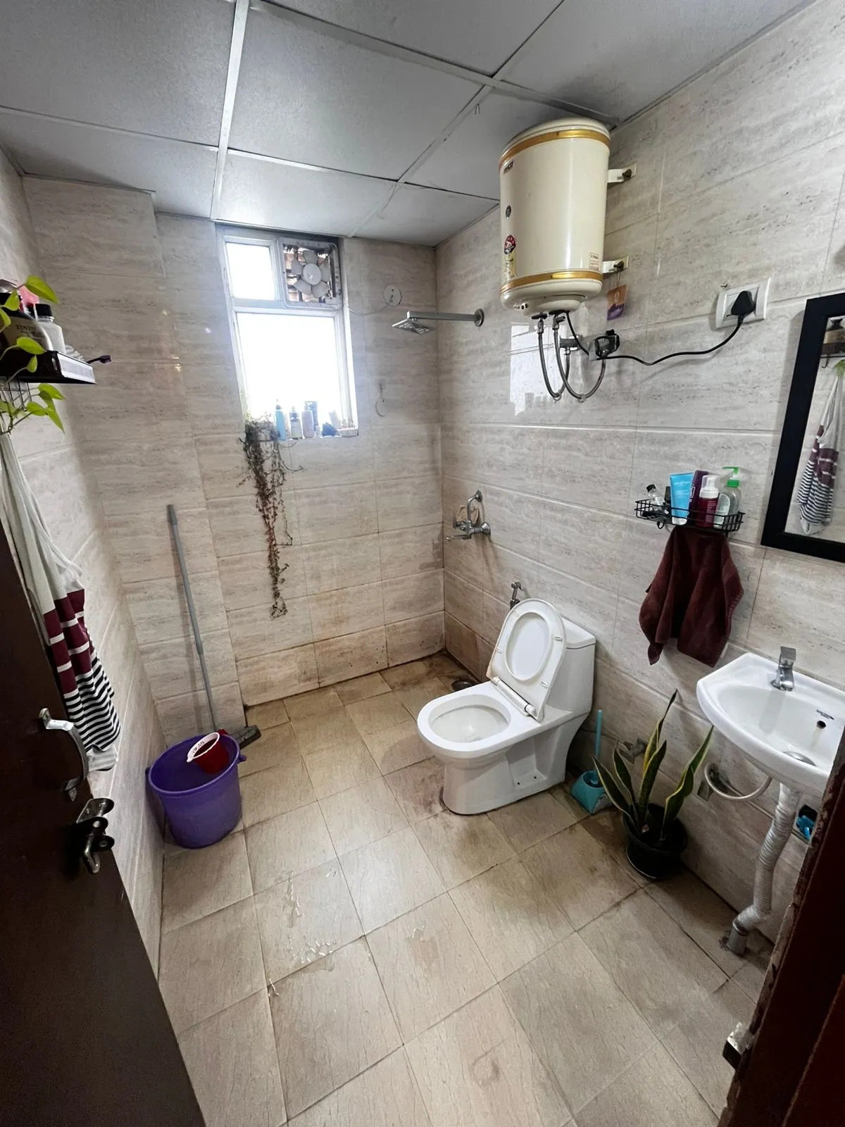 🏡 1BHK Fully Furnished Builder Floor for Rent | Sector 43, Gurgaon
