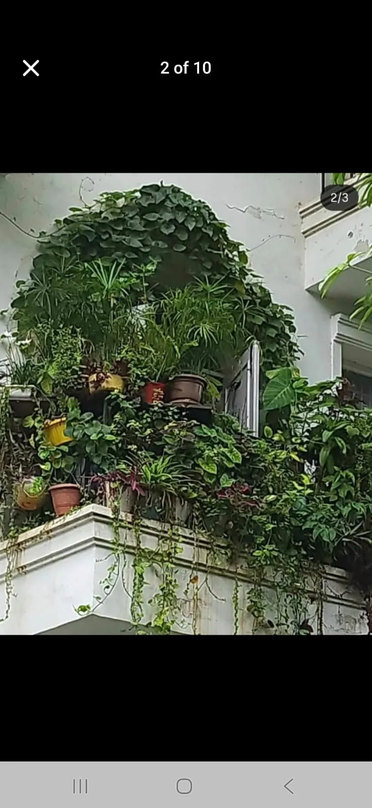 🏡 3BHK Semi-Furnished Builder Floor for Rent | Malibu Town, Gurgaon
